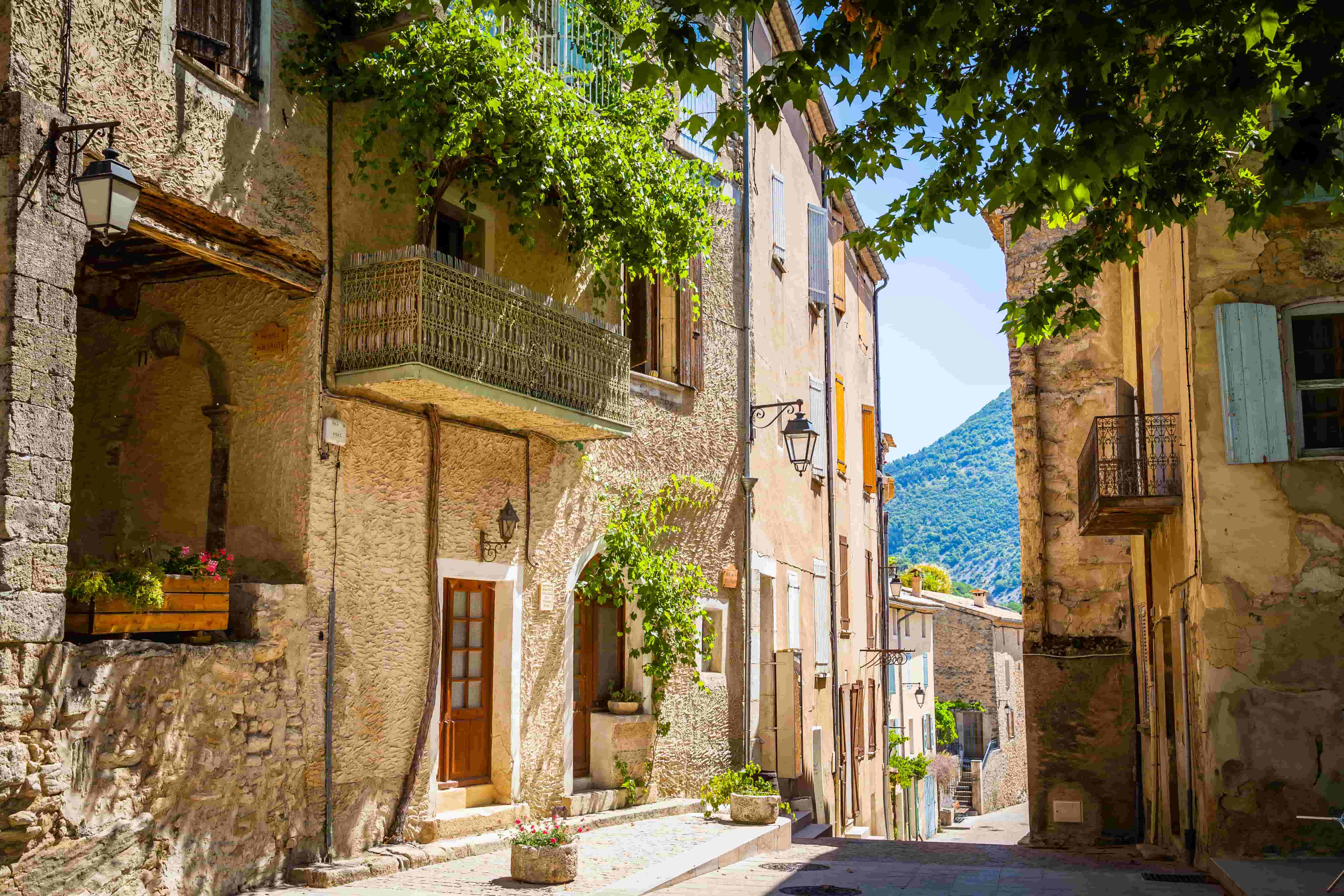 La Provence une destination de rêve pour les locations saisonnières